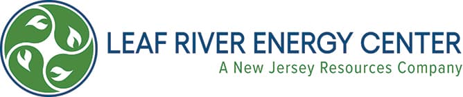 Leaf River Energy Center